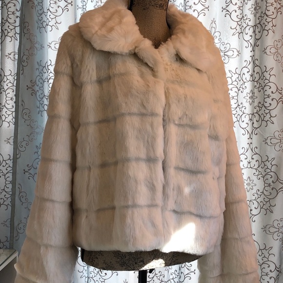 Jacket - Picture 5 of 6